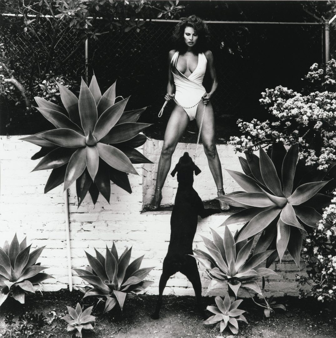 Helmut Newton