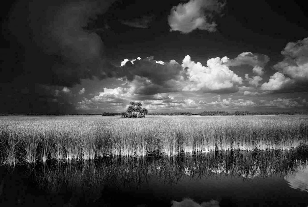 Clyde Butcher Everglades