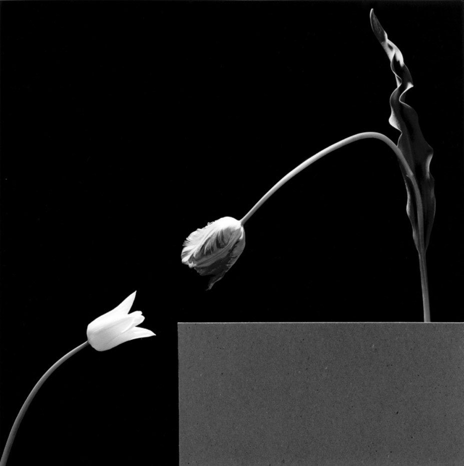 Robert Mapplethorpe Hasselblad Camer