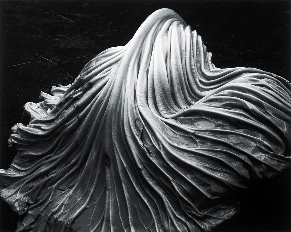 Edward Weston