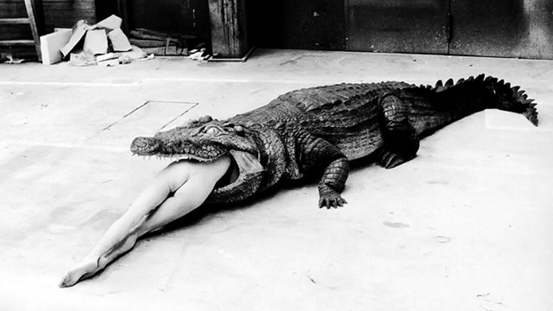 Helmut Newton