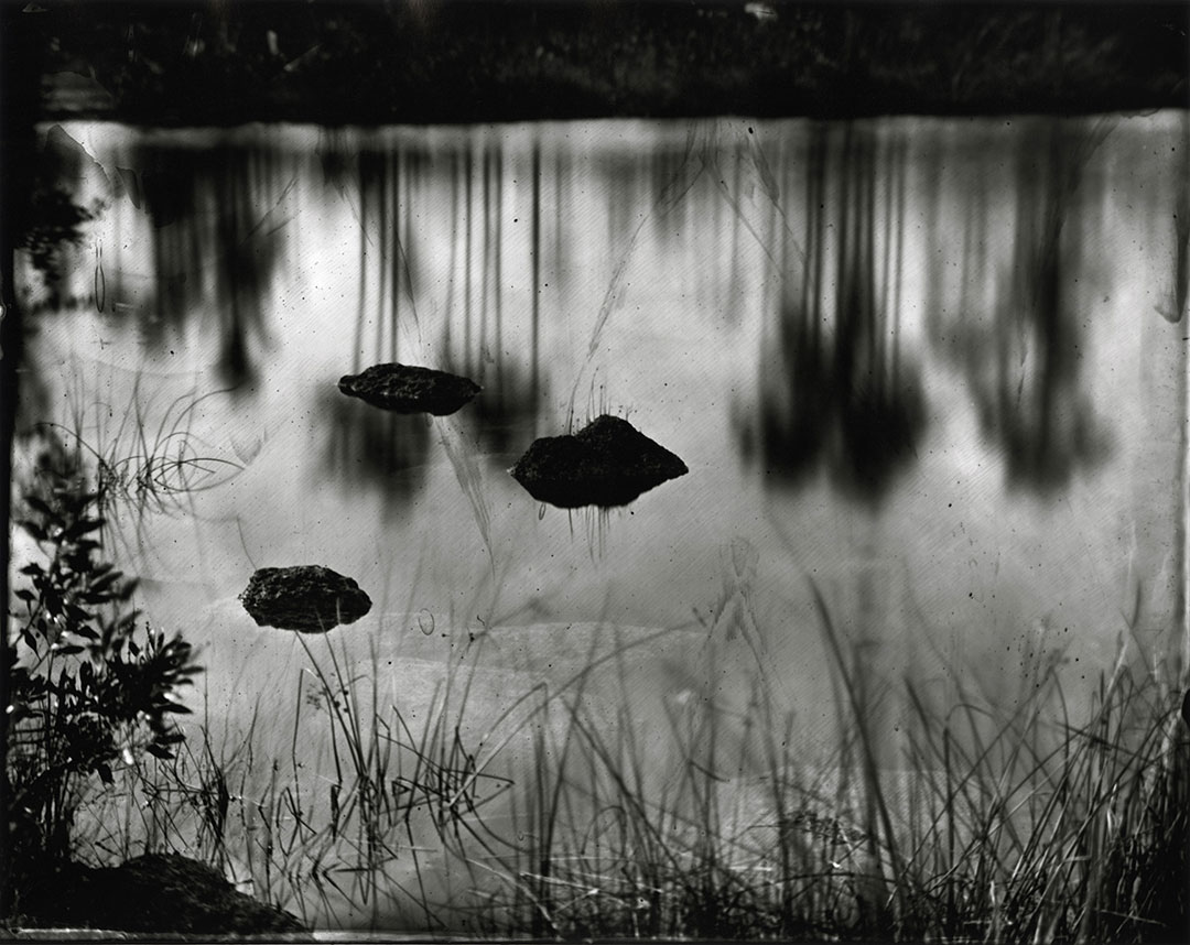 wet plate collodion