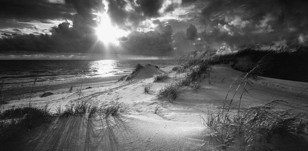 florida lanscape photography modern