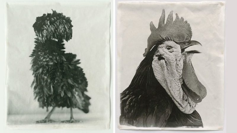 hand made rice paper prints using Hasselblad
