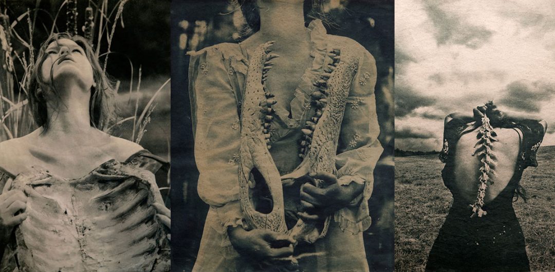 cyanotype art in a digital world