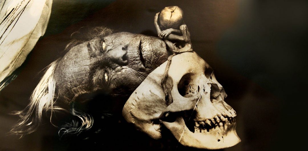 Halloween photography using a Linhof 4x5 camera