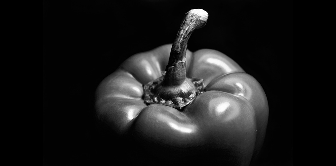 8x10 landscape and still life photography