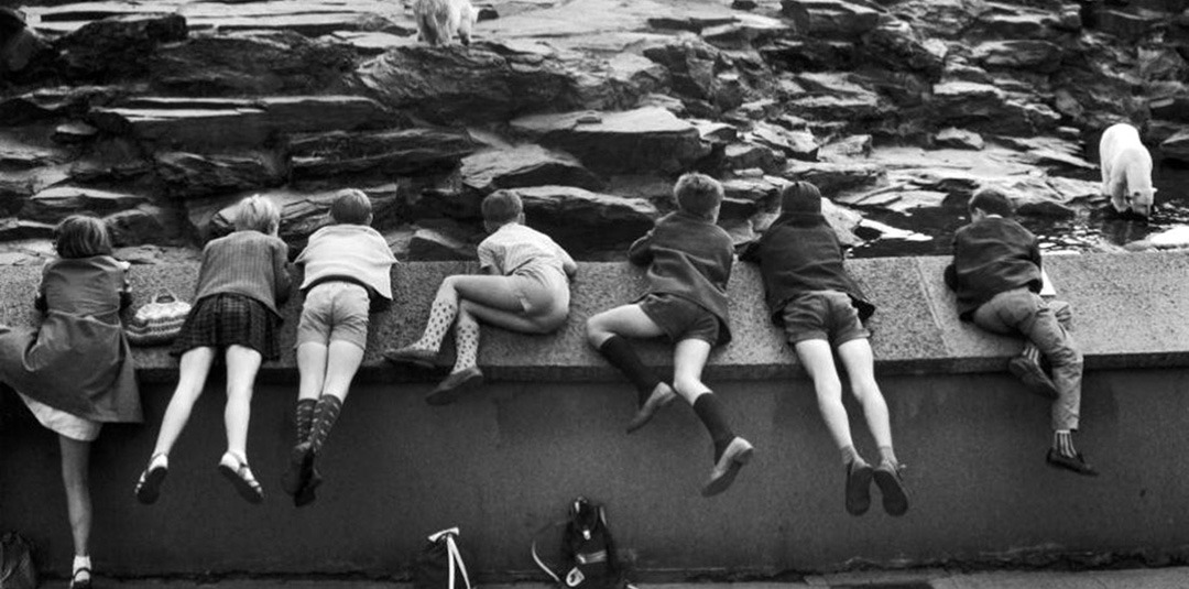You are currently viewing Willy Ronis – The Heart of Paris