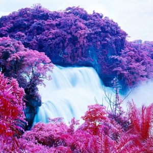 Richard Mosse – Infrared Guru