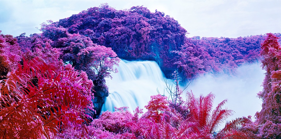 Dedicating your work to infrared photography in art
