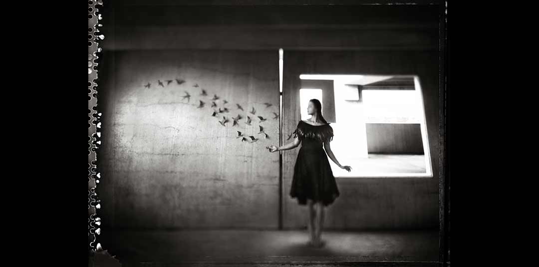 art photography using the 4x5 toyo 45 large format film