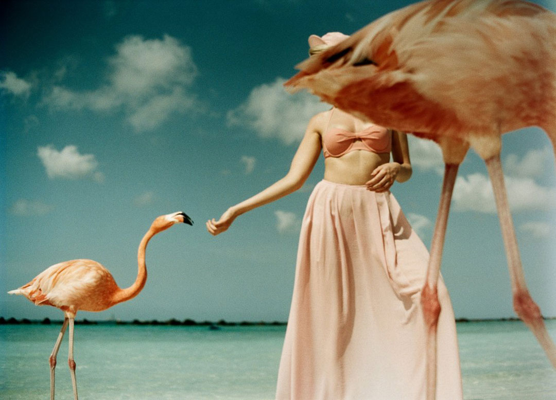 photography without using photoshop