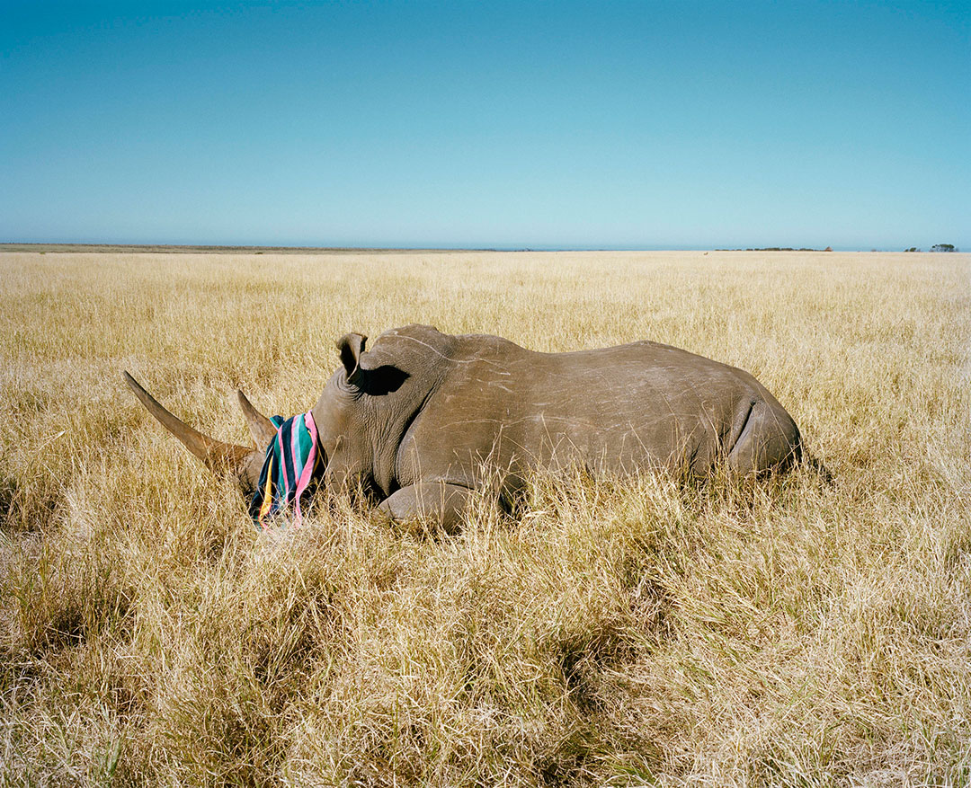 Mamiya 7 art from africa