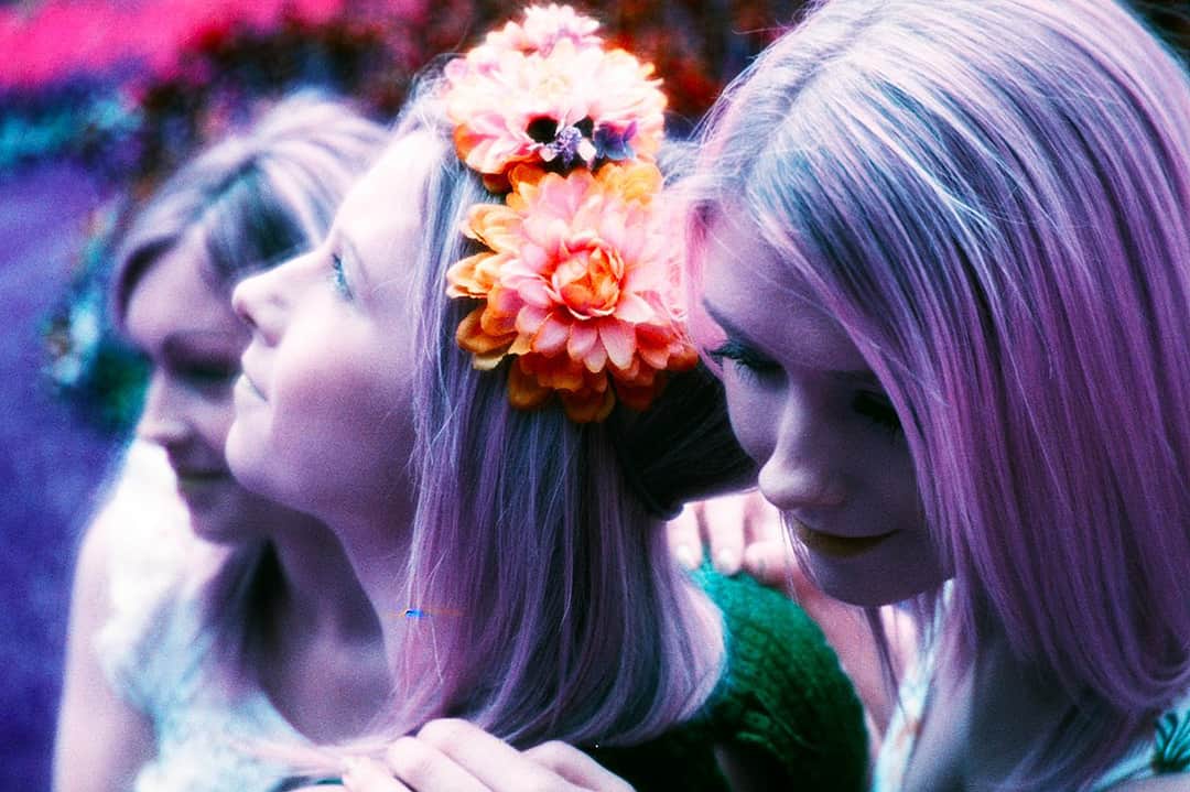 lomography film and the new purple tint